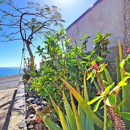 Vista Mar * Lajita